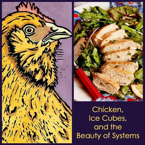 Chicken, Ice Cubes, and the Beauty of Systems