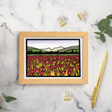 SA037: Field of Tulips