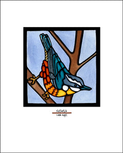 Nuthatch - 8"x10" Overstock