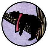 Snoozin Bear Sticker