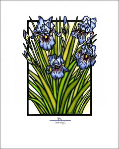 Iris - Simple Giclee Print - Sarah Angst Art Greeting Cards, Giclee Prints, Jewelry, More