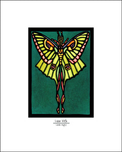 Luna Moth - 8"x10" Overstock - Sarah Angst Art Greeting Cards, Giclee Prints, Jewelry, More